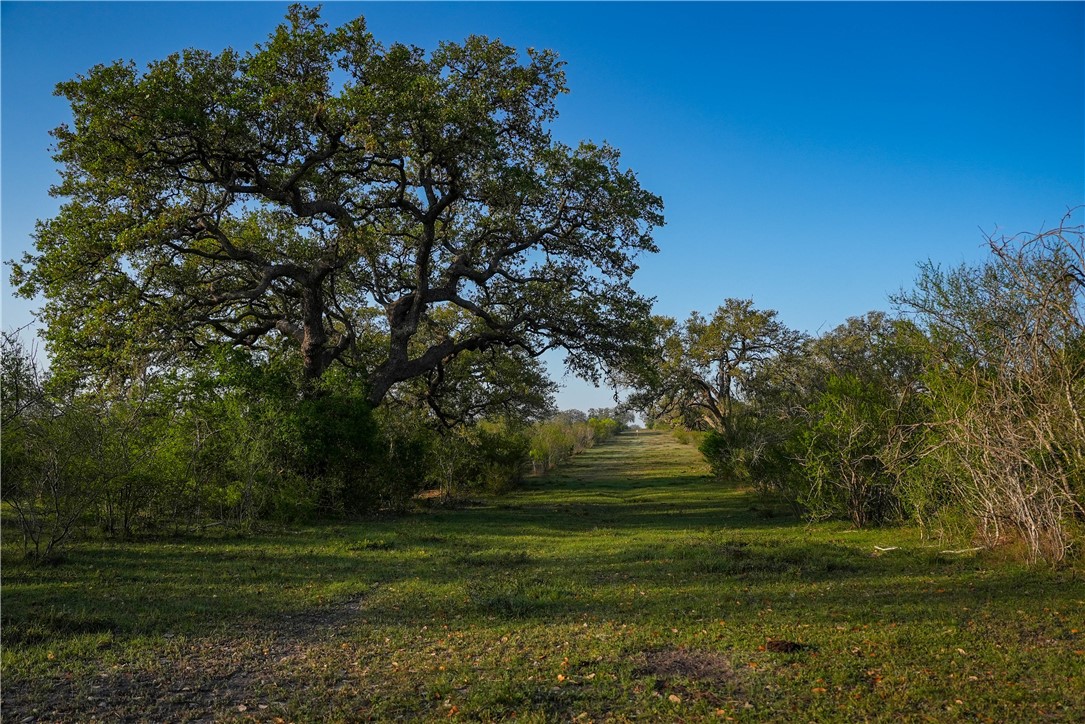8440 State Highway 239 W Goliad TX 77963