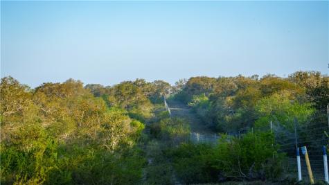 8440 State Highway 239 W Goliad TX 77963