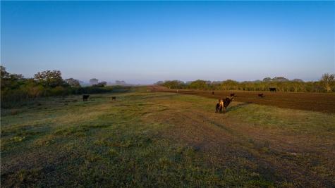 8440 State Highway 239 W Goliad TX 77963