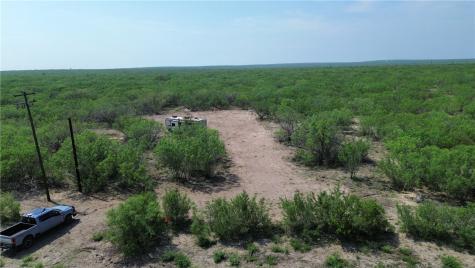 Tbd Persimmon Drive Freer TX 78357