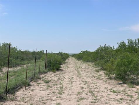 Tbd Persimmon Drive Freer TX 78357