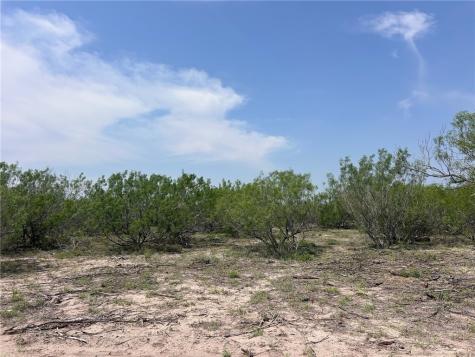 Tbd Persimmon Drive Freer TX 78357