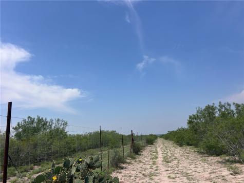Tbd Persimmon Drive Freer TX 78357