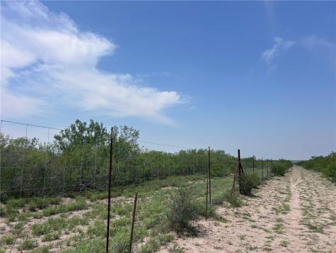 Tbd Persimmon Drive Freer TX 78357