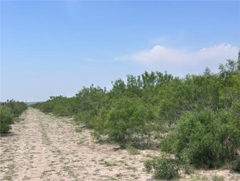 Tbd Persimmon Drive Freer TX 78357