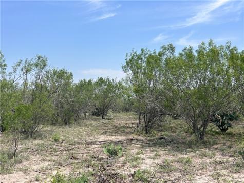 Tbd Persimmon Drive Freer TX 78357