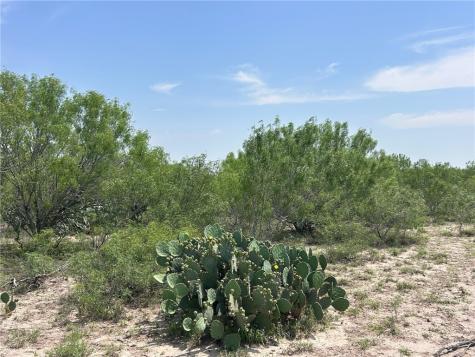 Tbd Persimmon Drive Freer TX 78357