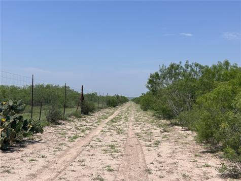 Tbd Persimmon Drive Freer TX 78357