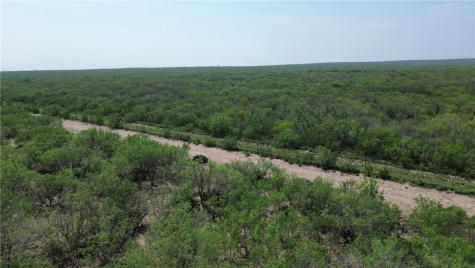 Tbd Persimmon Drive Freer TX 78357