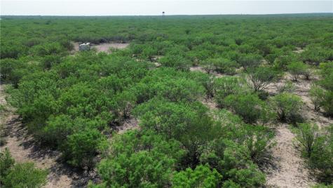 Tbd Persimmon Drive Freer TX 78357