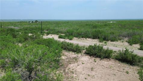 Tbd Persimmon Drive Freer TX 78357