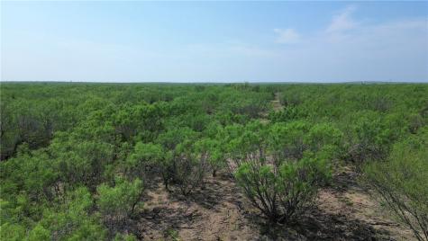Tbd Persimmon Drive Freer TX 78357