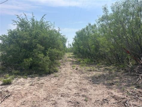 Tbd Persimmon Drive Freer TX 78357