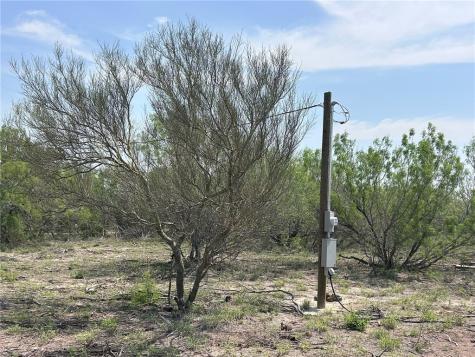 Tbd Persimmon Drive Freer TX 78357