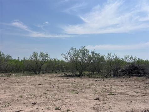 Tbd Persimmon Drive Freer TX 78357
