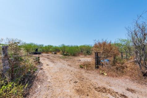 Tbd County Road 331 Alice TX 78332
