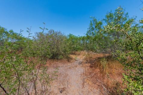 Tbd County Road 331 Alice TX 78332