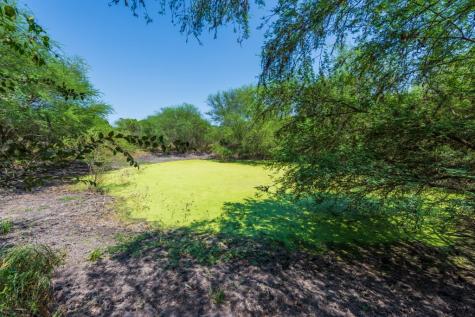 Tbd County Road 331 Alice TX 78332