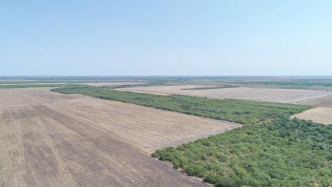 Tbd County Road 331 Alice TX 78332