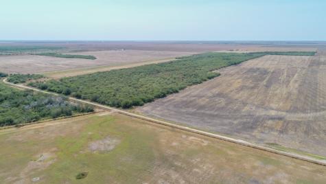 Tbd County Road 331 Alice TX 78332