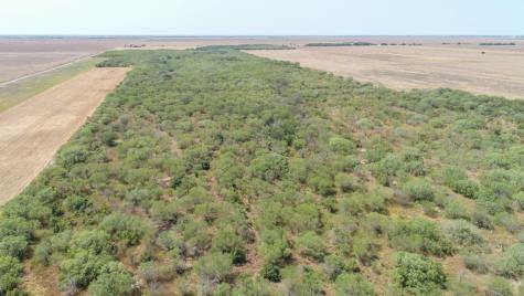 Tbd County Road 331 Alice TX 78332