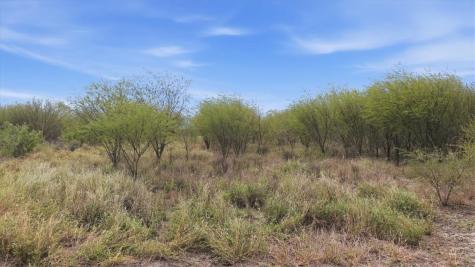 00 County Road 211 Alice TX 78332