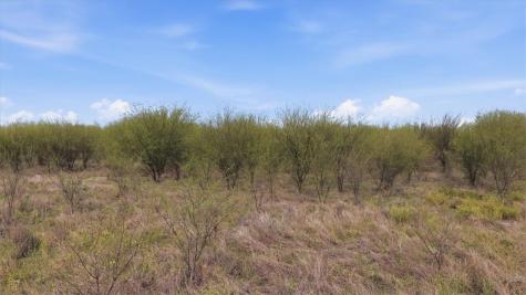 00 County Road 211 Alice TX 78332