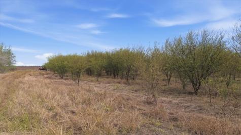 00 County Road 211 Alice TX 78332