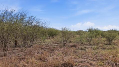 00 County Road 211 Alice TX 78332