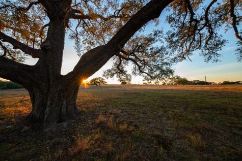 1038 Old Goliad Road Goliad TX 77963