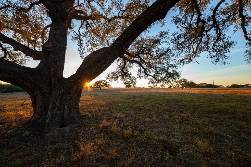 1038 Old Goliad Road Goliad TX 77963