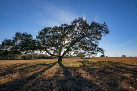 1038 Old Goliad Road Goliad TX 77963