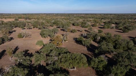1038 Old Goliad Road Goliad TX 77963