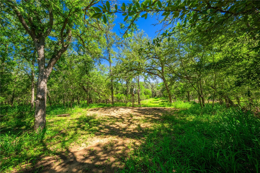 3355 Jim Brite Road Pleasanton TX 78064
