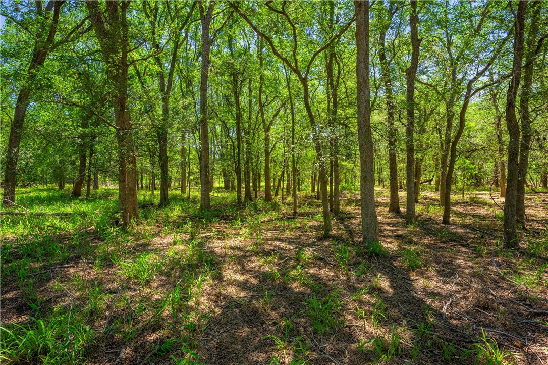 3355 Jim Brite Road Pleasanton TX 78064