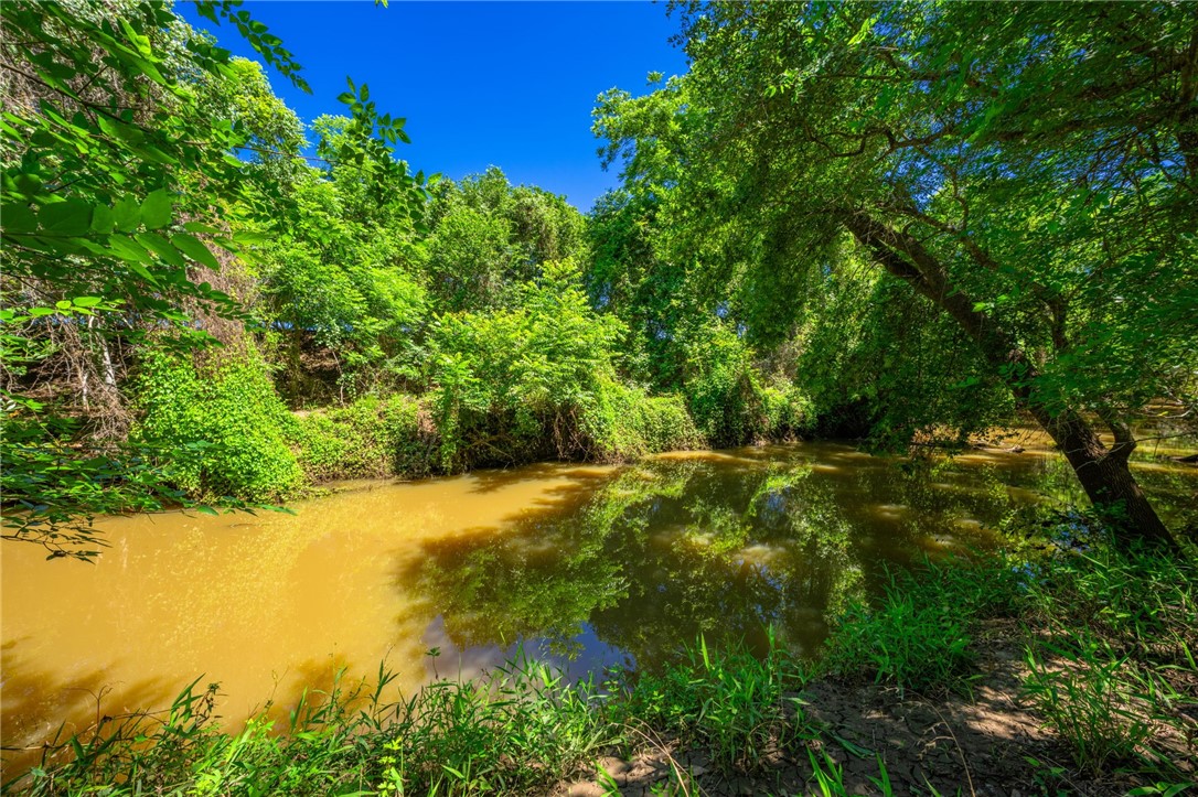 3355 Jim Brite Road Pleasanton TX 78064