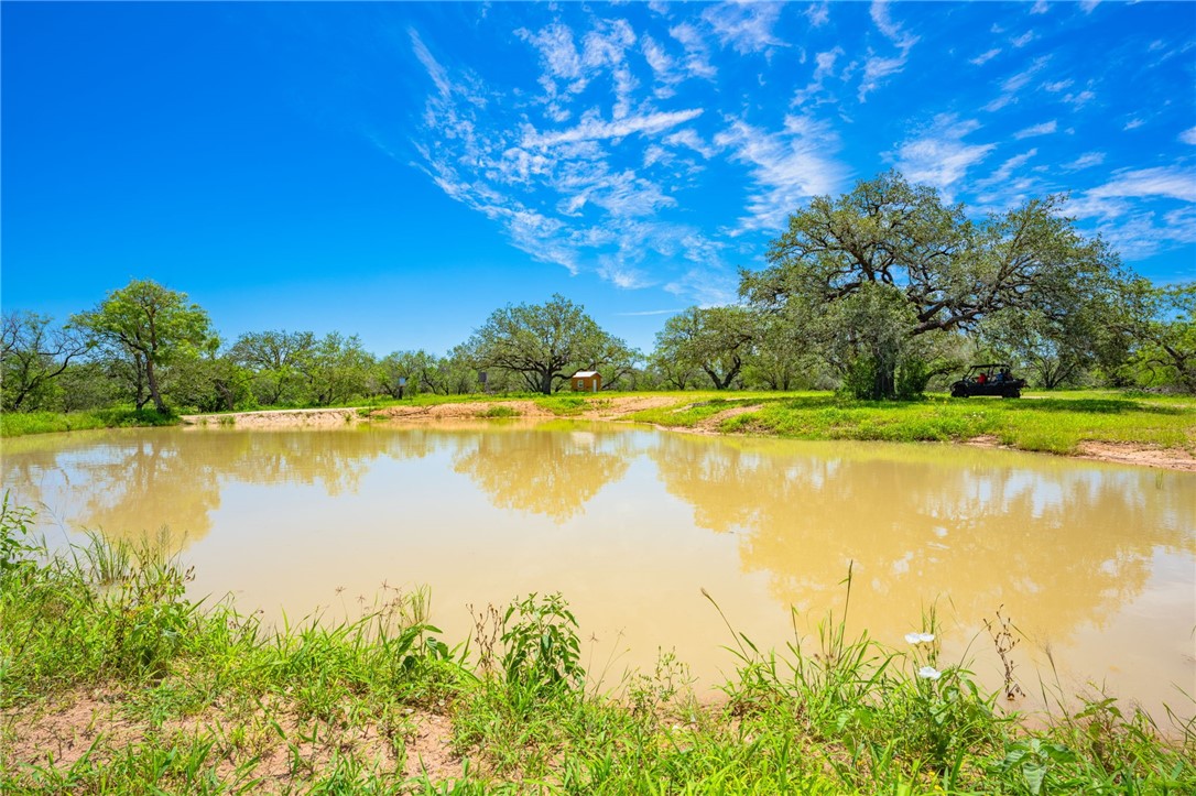 3355 Jim Brite Road Pleasanton TX 78064
