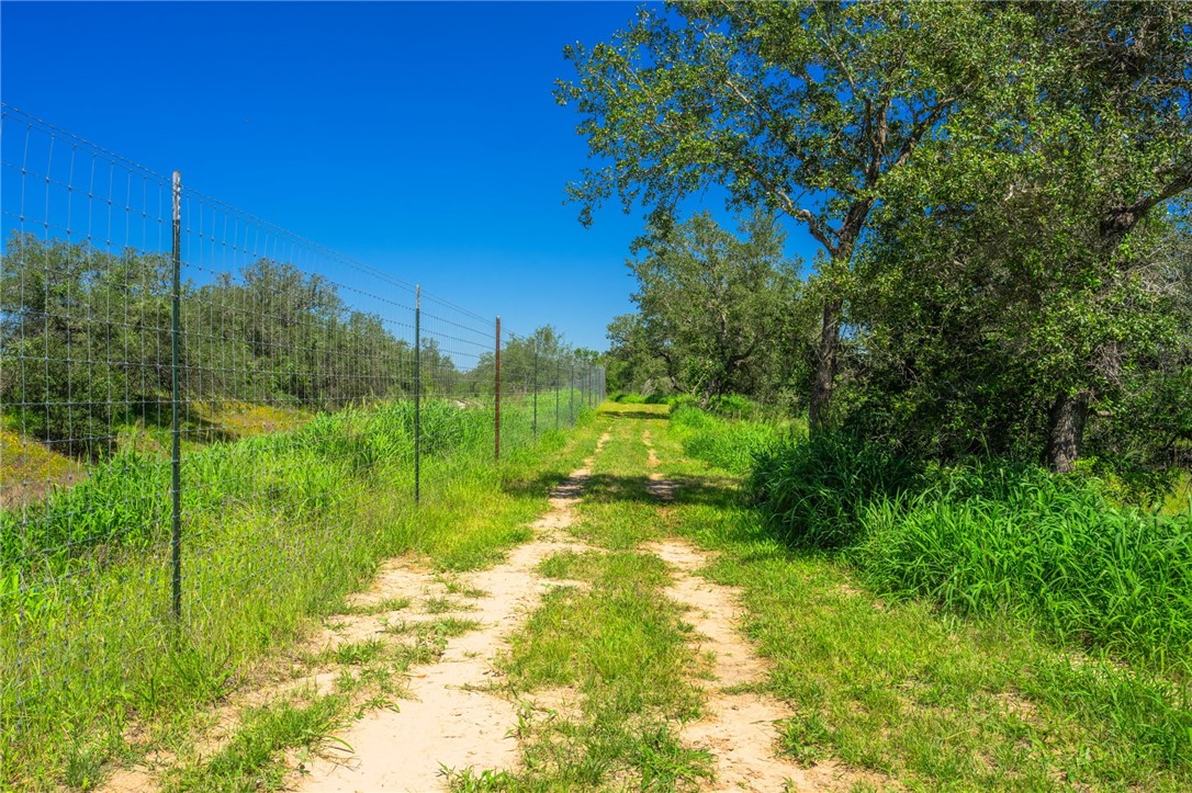 3355 Jim Brite Road Pleasanton TX 78064