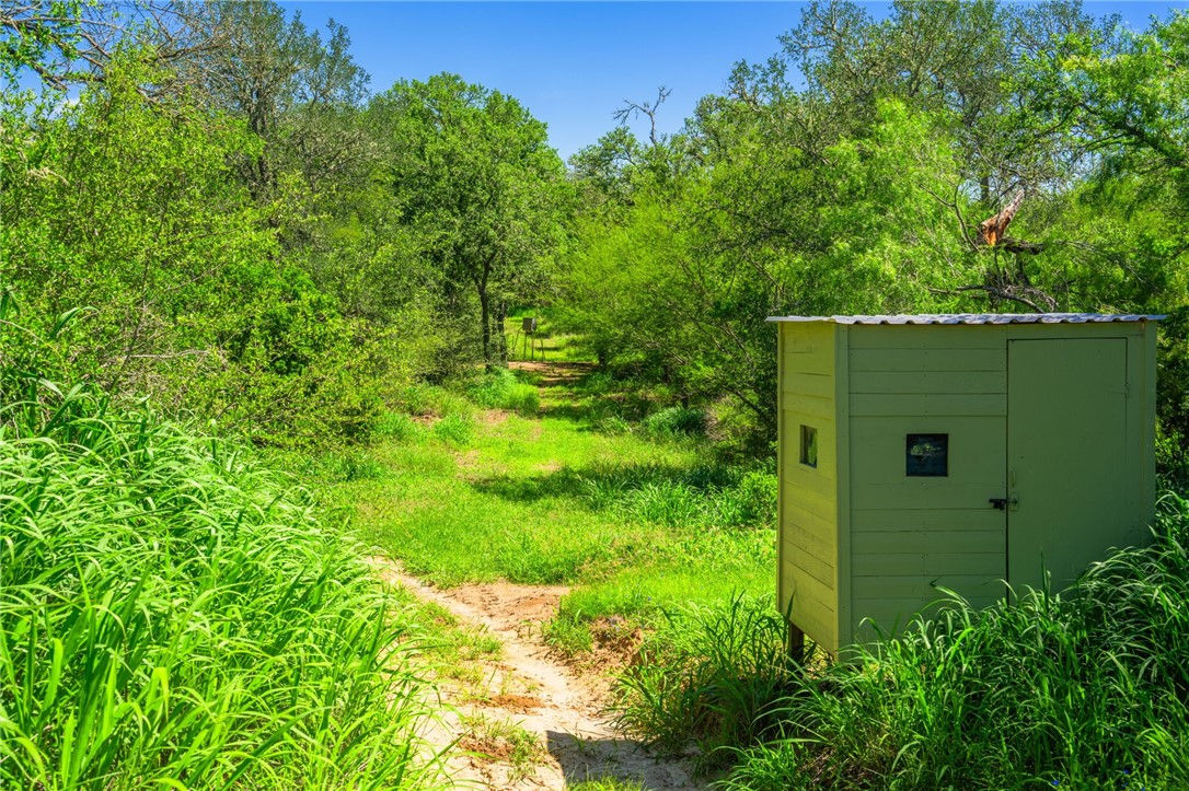 3355 Jim Brite Road Pleasanton TX 78064