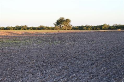 0 Cr 20 Robstown TX 78380