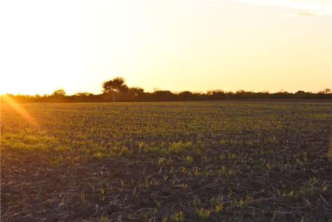 0 Cr 20 Robstown TX 78380