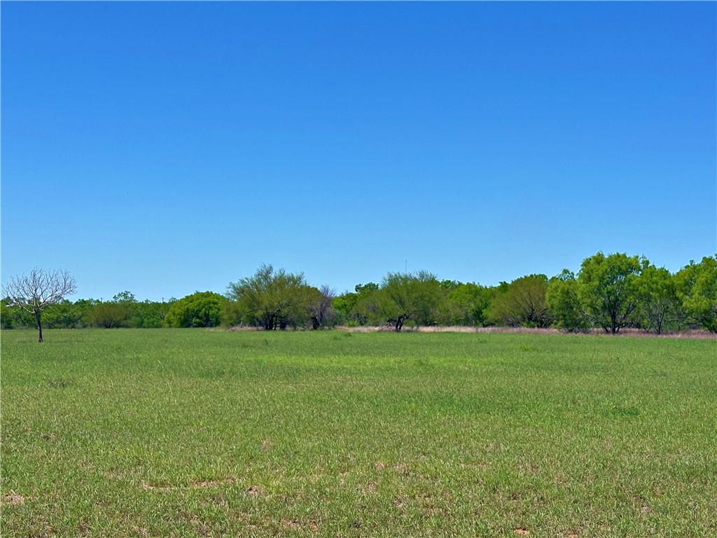 3265 Tx-97 Pleasanton TX 78064