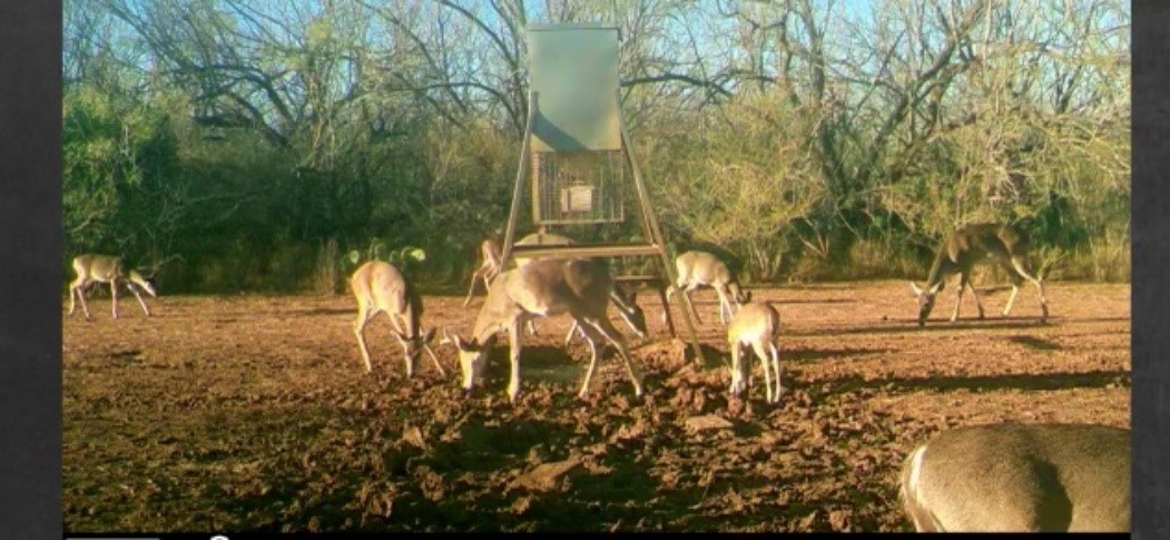 3265 Tx-97 Pleasanton TX 78064