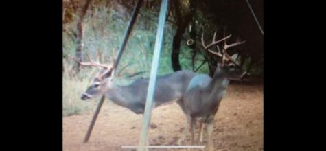 3265 Tx-97 Pleasanton TX 78064