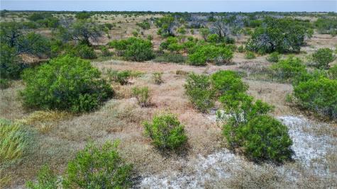 259 E County Road 227 Orange Grove TX 78372