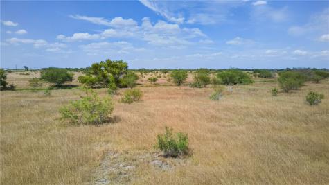 259 E County Road 227 Orange Grove TX 78372