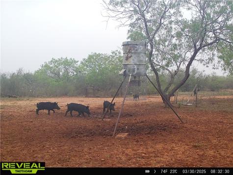0 Cr 145 & Cr 173 Alice TX 78332