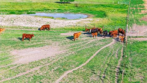 00 Fm 534 & Fm 3162 Sandia TX 78383