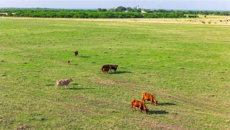 00 Fm 534 & Fm 3162 Sandia TX 78383