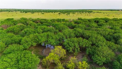 00 Fm 534 & Fm 3162 Sandia TX 78383